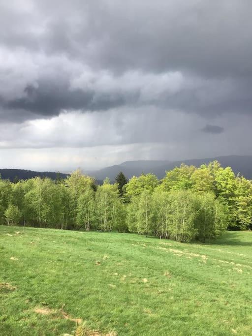Domek Gorski Na Polanie Goryczkowej 700 M Npm - Szczyrk Dojazd Samochodem Terenowym, W Zimie Utrudniony - Wymagane Lancuchy Екстер'єр фото